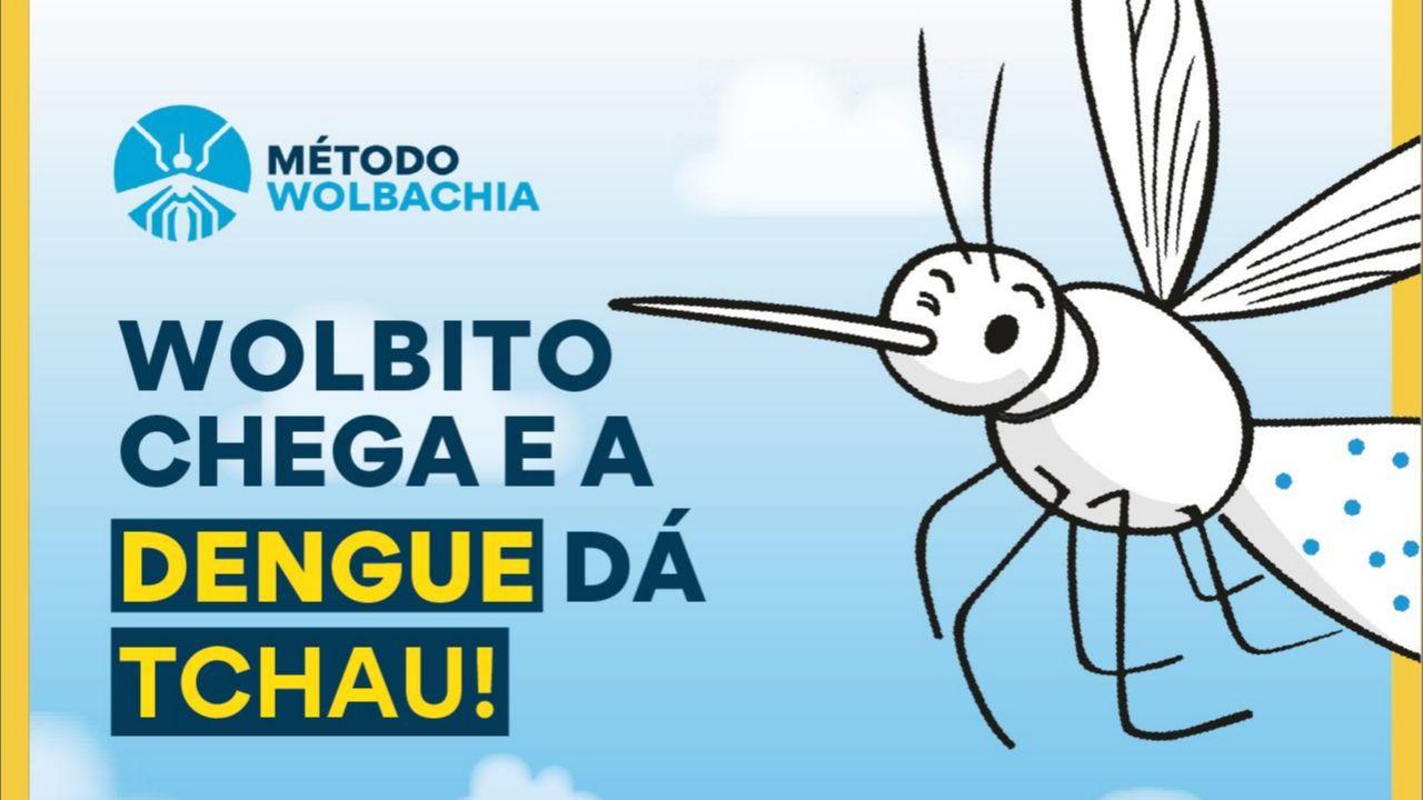 Combate à dengue, zika e chikungunya: Método Wolbachia começa a ser implantado em Brumadinho